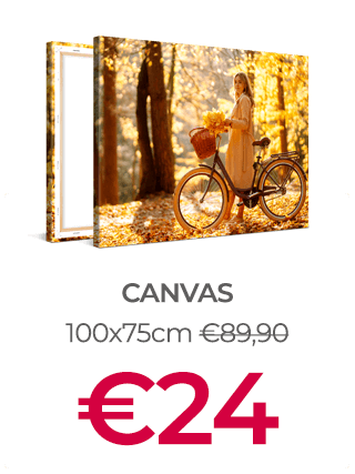 100x75cm Canvas Print voor €24 (i.p.v. €89,90)