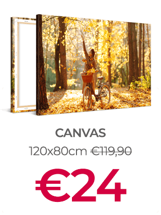 120x80cm Canvas Print voor €24 (i.p.v. €119,90)