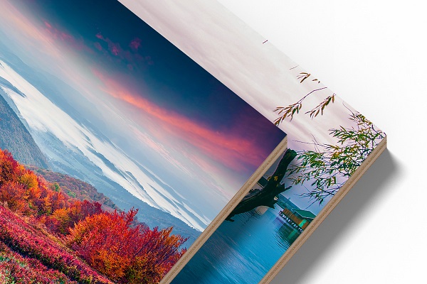 Foto op forex aanbieding