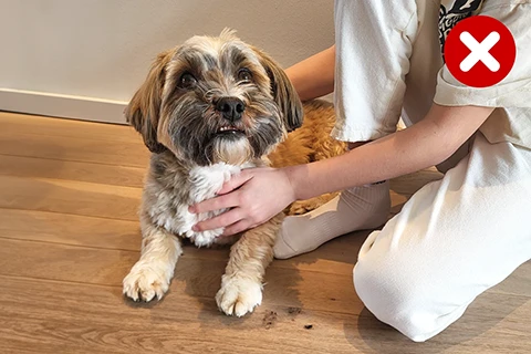 mens die met een hond knuffelt