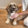 mens die met een hond knuffelt