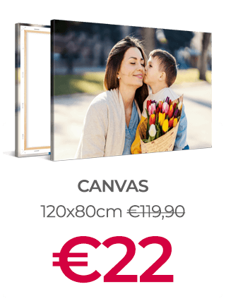 120x80cm Canvas Print voor €22 (i.p.v. €119,90)
