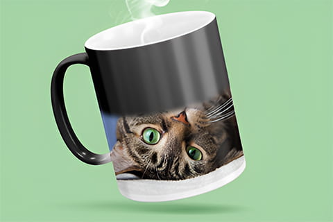 magic-mug